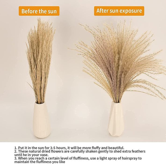 65PCS Pampas Grass Decor, Including Pompas Floral, Reed Dried Grass and Bunny Tails Dried Flowers, Natural Dried Pampas Grass Bouquet for Boho Decor Wedding, Home Decoration