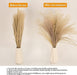 65PCS Pampas Grass Decor, Including Pompas Floral, Reed Dried Grass and Bunny Tails Dried Flowers, Natural Dried Pampas Grass Bouquet for Boho Decor Wedding, Home Decoration