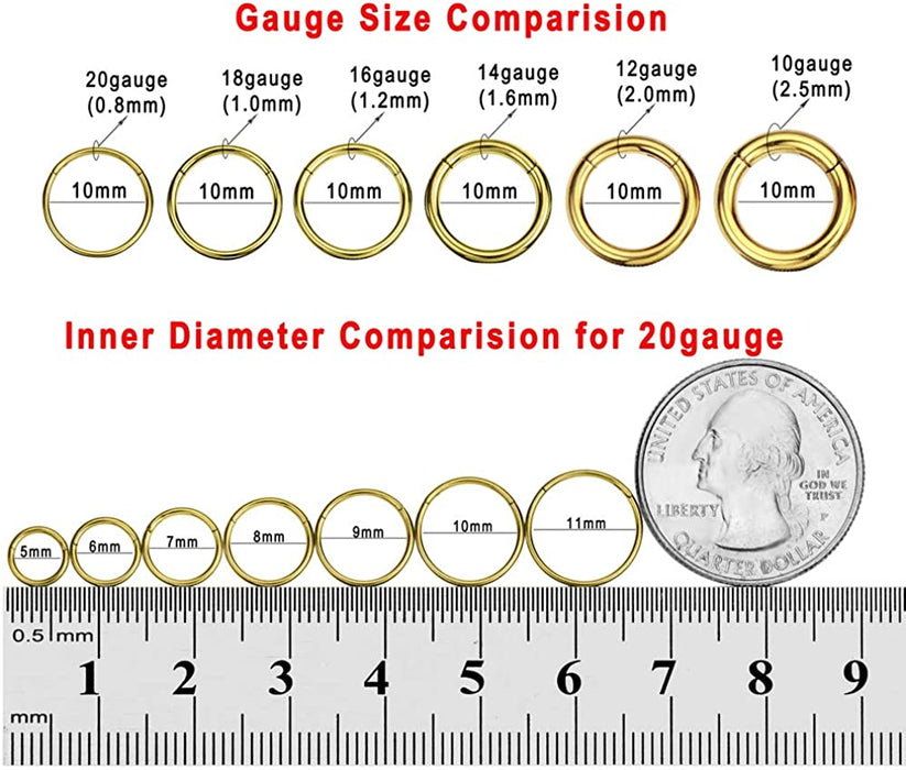 FANSING 316L Surgical Steel Hinged Nose Rings Hoop 20G 18G 16G 14G 12G 10G 8G 6G, Diameter 5Mm to 22Mm, Gold - Rose Gold - Silver - Black - Blue - Rainbow