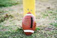 Wilson NCAA GST Composite Football Official Size Ages 14 and Up