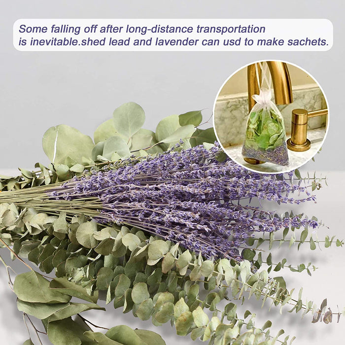 115 PCS Mix Dried Eucalyptus Stems & Lavender Flowers for Shower - 17'' Real Large Silver Dollar Leaves Branches, Fresh Hanging Plants for Vase, Natural Fragrance, Home Aromatic, Wedding Decor