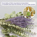115 PCS Mix Dried Eucalyptus Stems & Lavender Flowers for Shower - 17'' Real Large Silver Dollar Leaves Branches, Fresh Hanging Plants for Vase, Natural Fragrance, Home Aromatic, Wedding Decor