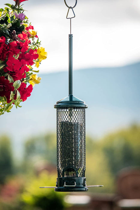 Squirrel Buster Mini Squirrel-Proof Bird Feeder W/4 Metal Perches, 0.98-Pound Seed Capacity
