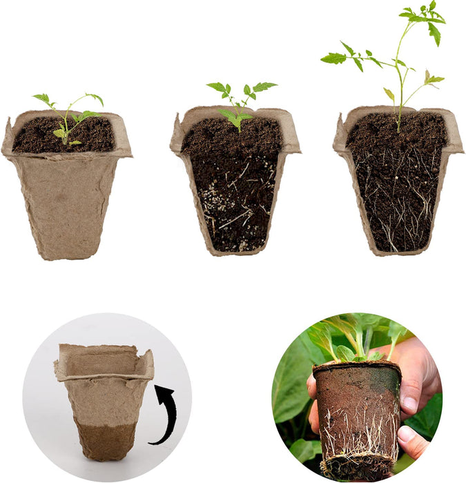 40 Pack Peat Pots Seed Starter Trays, 480 Cells Germination Seedling Pots, Organic Biodegradable Plant Germination Tray with 40 Plant Labels for Vegetable Flower, Herbs, Indoor Outdoor Garden