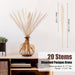 Dried Pampas Grass Boho Home Decor, 92Pcs Natural Flowers Bouquet Inc Lavender Bunny Tail Pompas Reed Neutral Bohemian Fall Decoration for Table Wedding Bedroom Western Vase Fireplace Christmas Décor