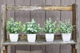 4 Packs Fake Plants Mini Artificial Greenery Potted Plants for Home Decor Indoor Office Table Room Farmhouse
