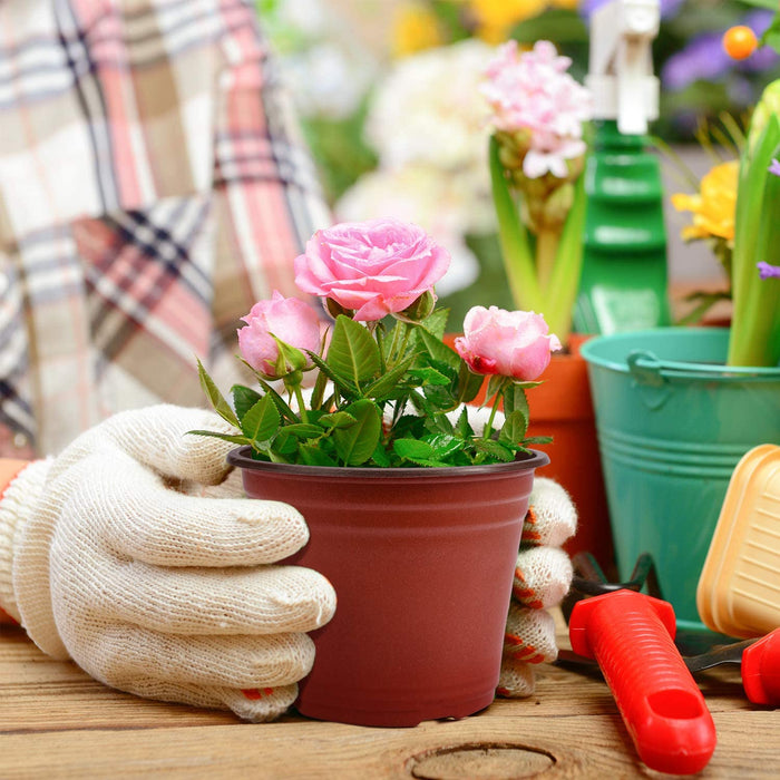 50 Pcs 6 Inch Plants Nursery Pots Reusable Plant Seeding Nursery Pot Waterproof Plastic Pots Seed Starting Pots