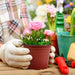 50 Pcs 6 Inch Plants Nursery Pots Reusable Plant Seeding Nursery Pot Waterproof Plastic Pots Seed Starting Pots