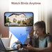 Smart Bird Feeder with Camera, Bird House with Camera and Solar Roof, 1080P HD Camera Auto Capture Bird Videos & Notify and Built-In Microphone (Include 32G SD Card)