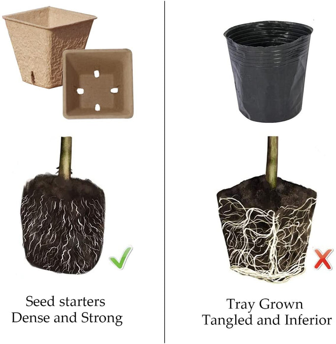 Seed Starter Kit with 90 Peat Pots for Seedlings Seed Starter Tray, 5 Plastic Growing Trays 20 Plant Labels & 3 Garden Tools Outdoor or Indoor