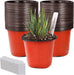 4" Plant Pots Small Plastic Plants Nursery Pot/Pots (100Pcs) Seedlings Flower Plant Container Seed Starting Pots for Plants Come with 100Pcs Plant Labels