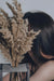 Pampas Grass Decor, Natural Dry Pampas Grass Small, Short Pampass Bulk for Farmhouse, Wall, Kitchen, Bedroom Decor, Office Decor (17 Inch )