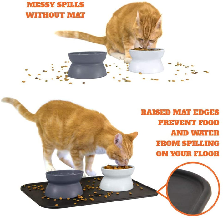 Kitty City Raised Cat Food Bowl Collection_Stress Free Pet Feeder and Waterer
