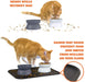Kitty City Raised Cat Food Bowl Collection_Stress Free Pet Feeder and Waterer