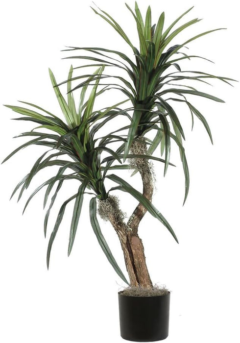 Everyday 4' Artificial Marginata Bush in a Black Plastic Pot - Lifelike Home Office Decor - Faux Indoor Potted Bush