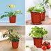 110 Pcs 4" Plastic Plants Nursery Pot,Seed Starting Pots