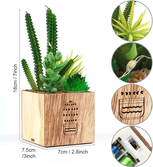 Set of 3 Artificial Succulents with Led Lights in Wooden Box, Artificial Plants Plastic Fake Topiary for Home/Office Decorations, Table Centerpiece