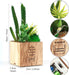 Set of 3 Artificial Succulents with Led Lights in Wooden Box, Artificial Plants Plastic Fake Topiary for Home/Office Decorations, Table Centerpiece