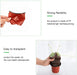200-Pack 4 Inch Plastic Plant Nursery Pots Come with 200 Pcs Plant Labels, Seedling Flower Plant Container and Seed Starting Pots