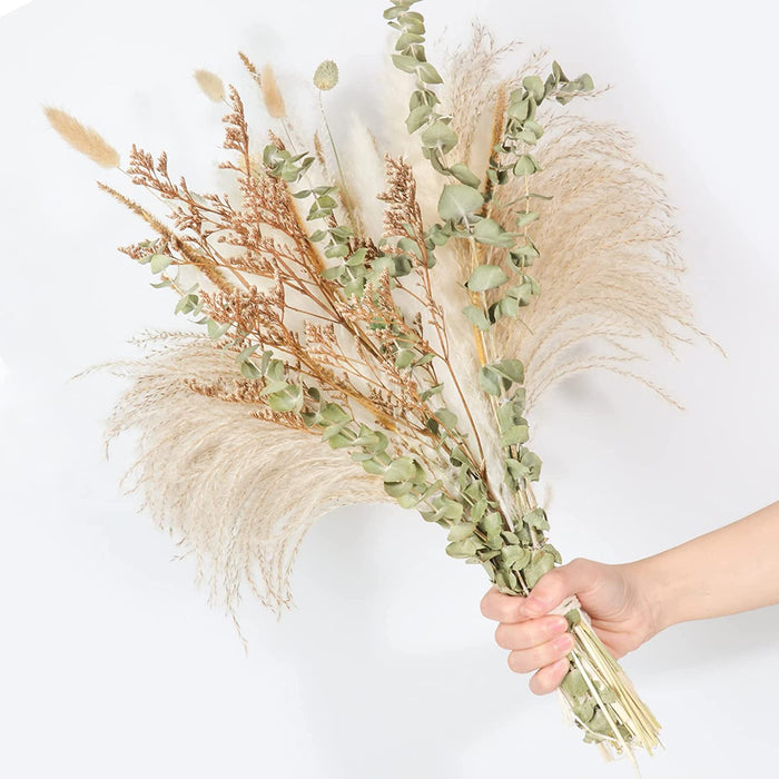 Natural Dried Flower Bouquet , Dried Pampas Grass Decor, 8 Varieties Flowers for Vase, Dried Floral Arrangements for Home Wedding Table Decor(Green)