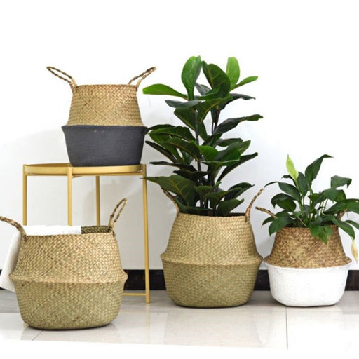 Seagrass Basket with Handles | 3 Sizes | Woven Basket for Plants, Belly Basket, Blanket Holder | Multipurpose Decorative Storage Baskets