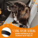 Dog Seat Belt, Pet Safety Belt, Created with Human Seatbelt Material. Keep Your Dog Safe in the Car