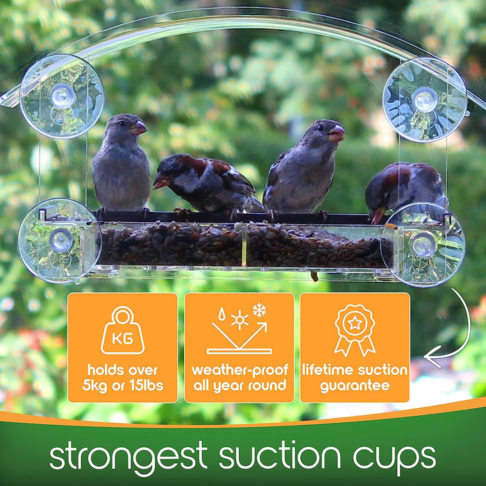 Window Bird Feeders with Strong Suction Cups - Home Bird Suction Cup Bird Feeder Window Clear Bird Feeders for Window Bird Feeders for outside for Viewing Bird Watching Squirrel Proof Bird Feeder