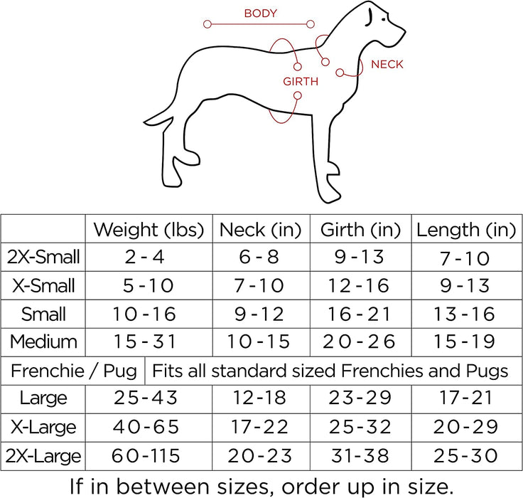 Dog Clothes - Handmade Dog Poncho from Authentic Mexican Blanket by  (Blue, Large)