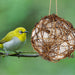 Set of 3 Globe Hummingbird Nesters, Full of Bird Nesting Materials, Design for Bird Lovers, Idea Bird Gifts in Outdoor Indoor Patio Garden