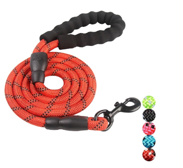 5 FT Strong Dog Leash with Padded Handle and Highly Reflective Threads Nylon Dog Leashes for Medium and Large Dogs