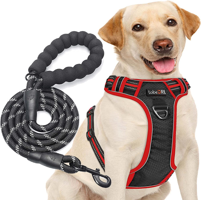 No Pull Dog Harness Adjustable Reflective Oxford Easy Control Medium Large Dog Harness with a Free Heavy Duty 5Ft Dog Leash (S (Neck: 13"-18", Chest: 17.5"-22"), Blue Harness+Leash)