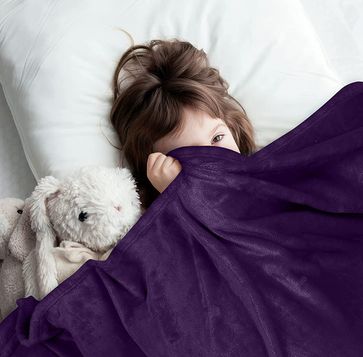 Fleece Blanket Queen Size Purple 300GSM Luxury Bed Blanket Anti-Static Fuzzy Soft Blanket Microfiber (90X90 Inches)