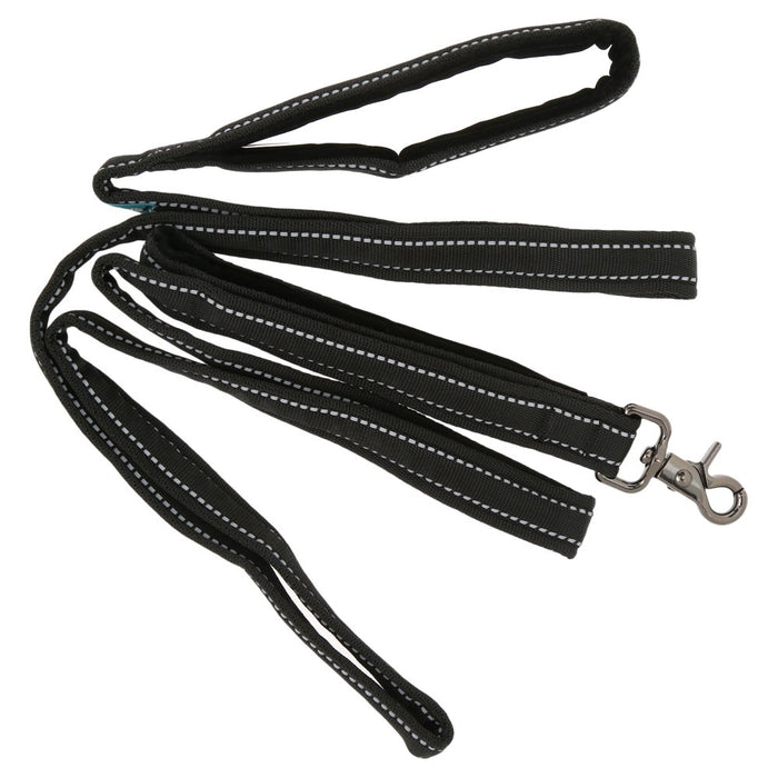 Sporn 6' Nylon, Suede & Nickel Standard Dog Leash, Black, M/L