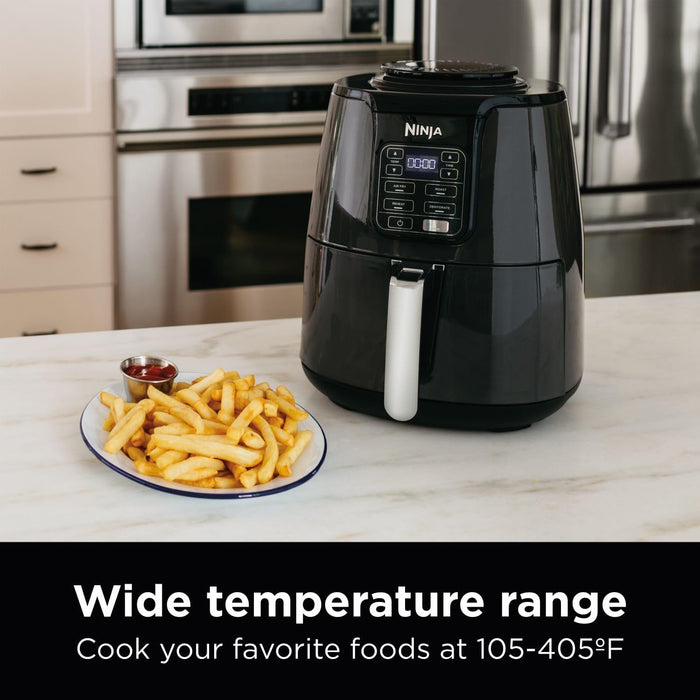 AF101 Air Fryer That Crisps, Roasts, Reheats, & Dehydrates, for Quick, Easy Meals, 4 Quart Capacity, & High Gloss Finish, Grey