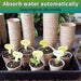 3”Seed Pots for Planting,50 Pack Seed Starter Peat Pots,Heavy Duty Thickened Peat Pots for Seedlings,Paper Pulp Peat Pot Organic Germination Starter Pots for Planting,Planting Cups for Seeds