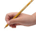 USA Titanium Premium Yellow No.2 Pencils 24 Count Sharpened Woodcase Pencils