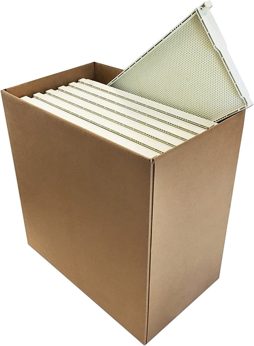 Inc. 9" WHITE FRAMES WAXED - 30 Pack