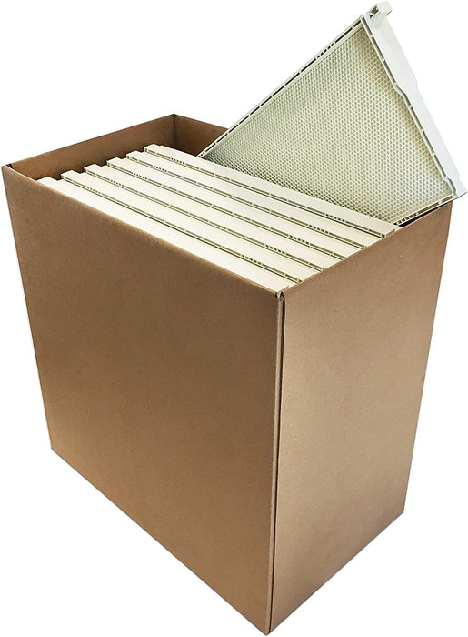 Inc. 9" WHITE FRAMES WAXED - 30 Pack