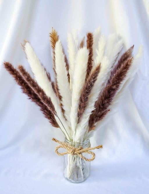 Fluffy Small Bundle of Real Natural Dried Pampas Grass Plant, Feather Length Is 25-35Cm with a Total Length of 45Cm-30 Stem Flower Arrangement for Wedding, Home Décor, Gifts