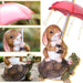 Solar Garden Statue Outdoor Decor, Rabbit Siting on Turtle Holding an Umbrella with String Lights, Easter Bunny Statue for Patio, Lawn, Yard Art Decoration, Housewarming Garden Gift