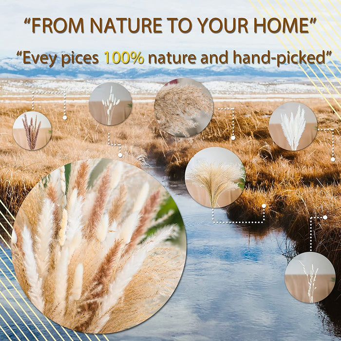 92PCS Beautiful Natural Pampas Grass Bouquet Decor | Long-Lasting Dried Flowers Bouquet for Boho Home Decor and Boho Wedding Decor (The Wild Bouquet)