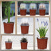 36Packs 5/4/3.5 Inch Nursery Pots with Clear Humidity Domes, Seed Starting Pots with Drainage Holes, Garden Containers for Seedlings, Succulents,Cuttings,Flowers and Vegetables with 50PCS Plant Labels