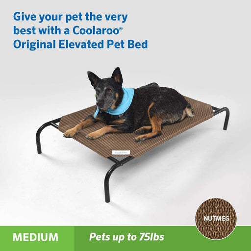 Coolaroo the Original Cooling Elevated Pet Bed