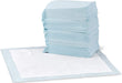 Dog and Puppy Pee Pads with Leak-Proof Quick-Dry Design for Potty Training, Standard Absorbency, Regular Size, 22 X 22 Inches - Pack of 100