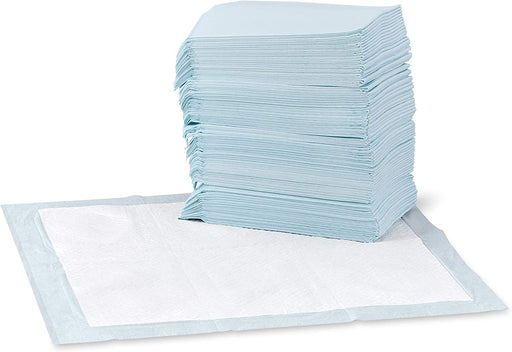 Dog and Puppy Pee Pads with Leak-Proof Quick-Dry Design for Potty Training, Standard Absorbency, Regular Size, 22 X 22 Inches - Pack of 100