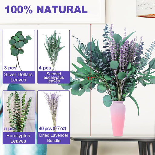 52 PCS Mix Dried Eucalyptus & Lavender Flowers Bundles for Shower, 17'' Natural Real Hanging Silver Dollar Eucalyptus Leaves Stem, Fresh Shower Plants, Fragrance, Home Wedding Decor