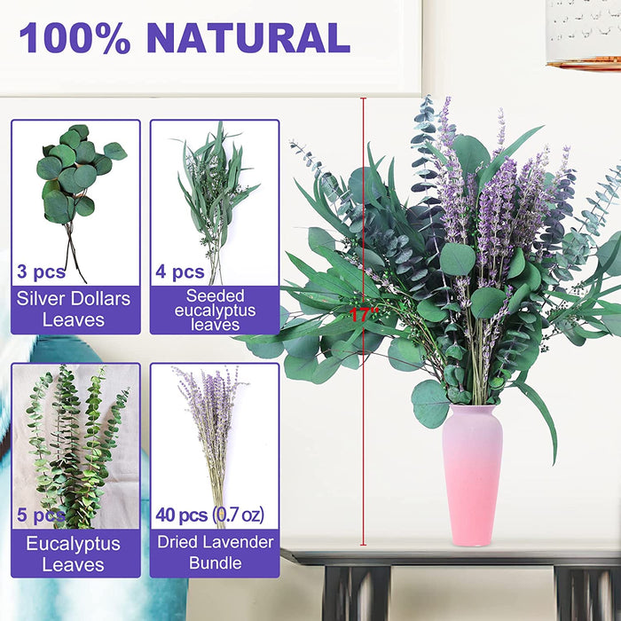 52 PCS Mix Dried Eucalyptus & Lavender Flowers Bundles for Shower, 17'' Natural Real Hanging Silver Dollar Eucalyptus Leaves Stem, Fresh Shower Plants, Fragrance, Home Wedding Decor