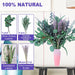 52 PCS Mix Dried Eucalyptus & Lavender Flowers Bundles for Shower, 17'' Natural Real Hanging Silver Dollar Eucalyptus Leaves Stem, Fresh Shower Plants, Fragrance, Home Wedding Decor
