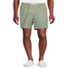 Men'S and Big Men'S All Guy Swim Shorts