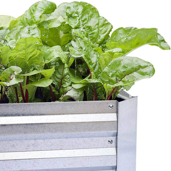 Galvanized Raised Garden Beds for Vegetables Large Metal Planter Box Steel Kit Flower Herb, 8X4X1Ft